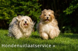 hondenuitlaatservice